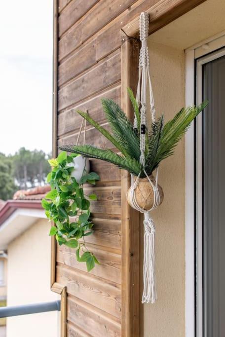Appartement Des Grands Lacs Sanguinet Exterior foto